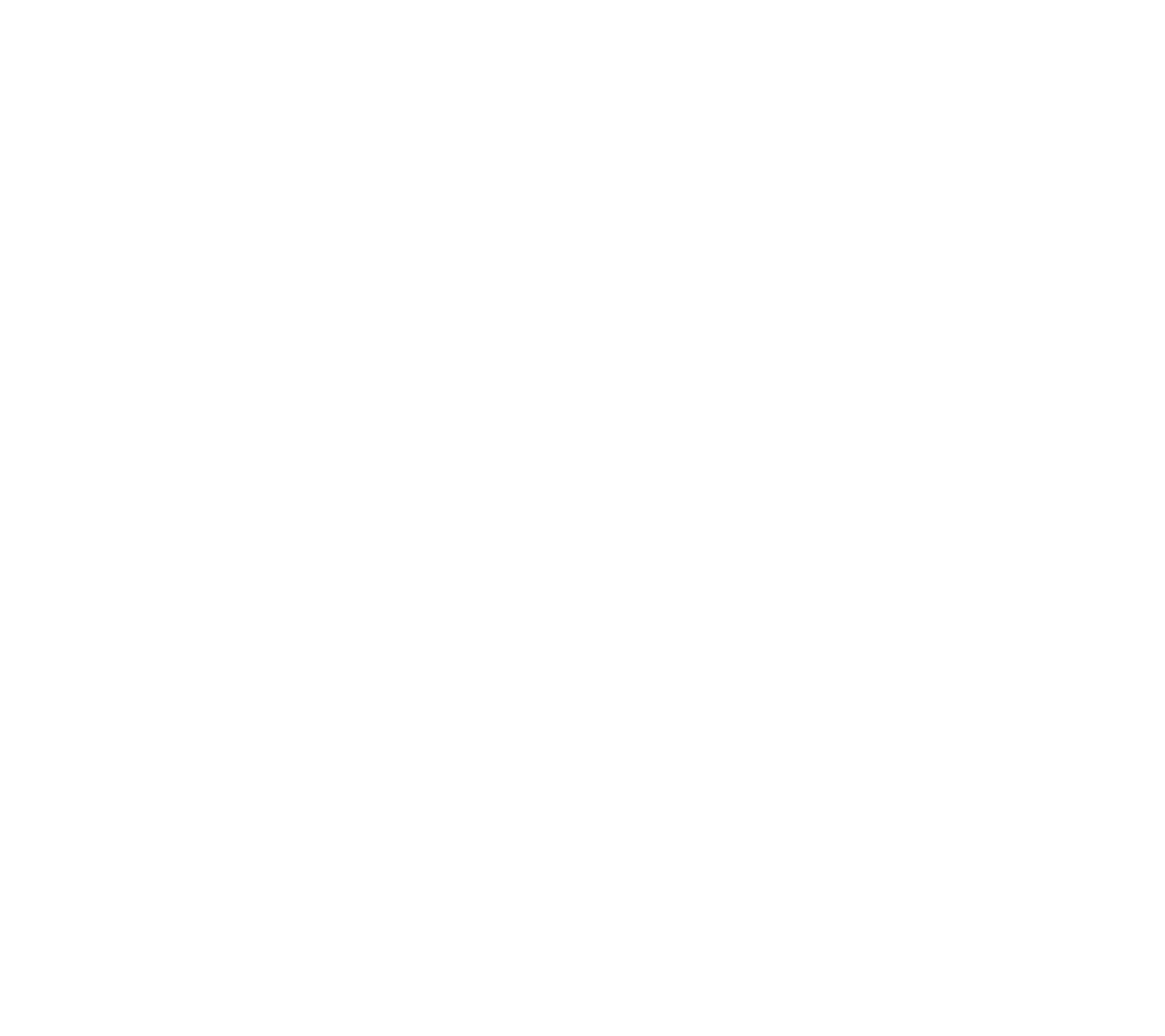 Google Partner logo